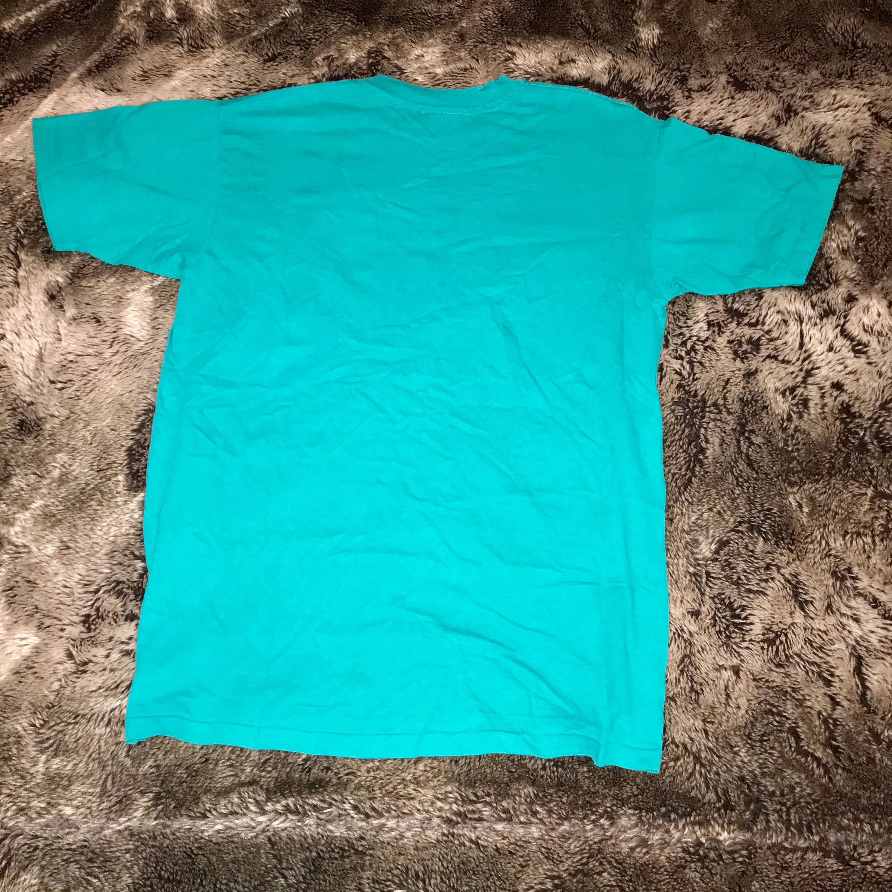 Apple Single Stitch 1990s Logo Tee (Teal)