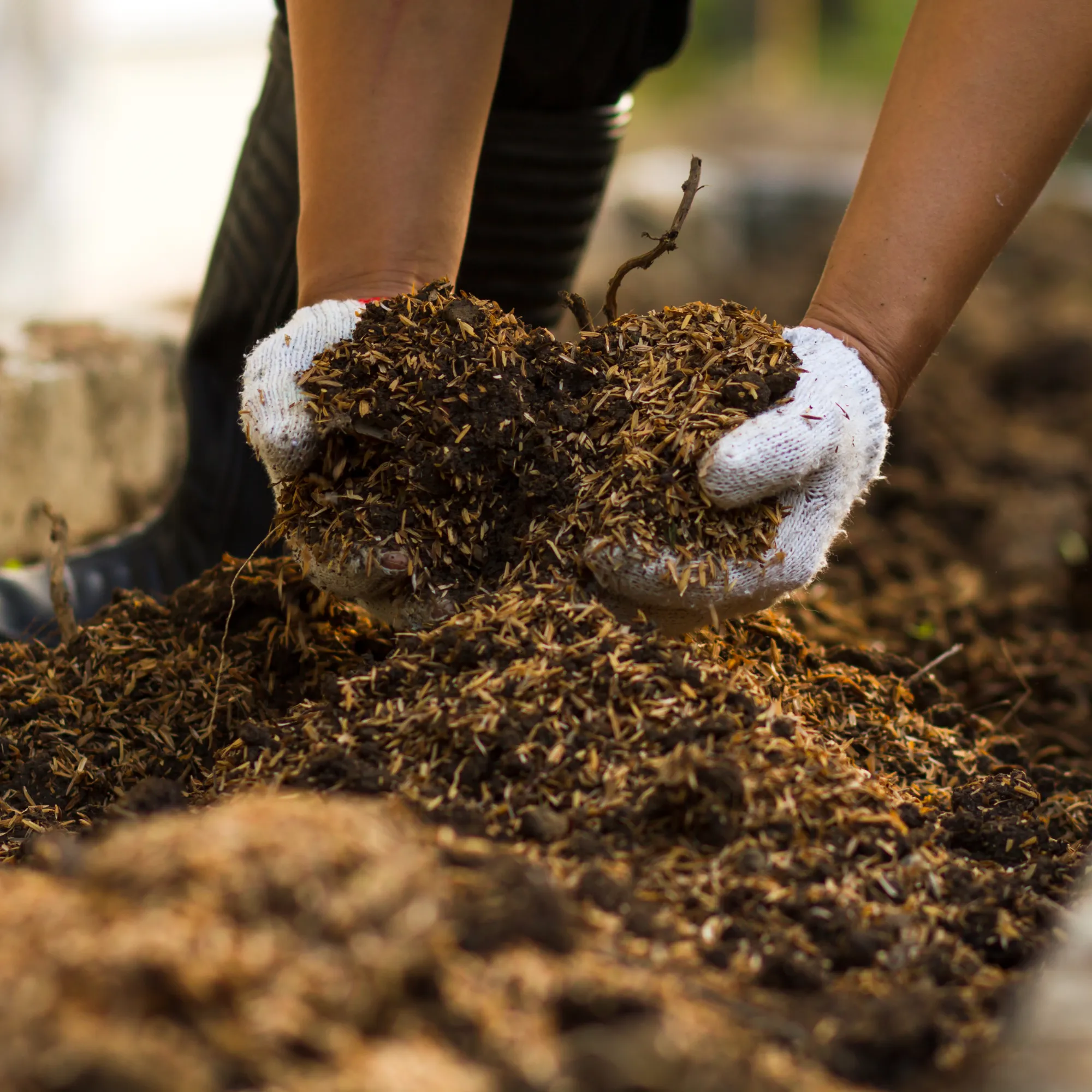 AutumnMix Compost