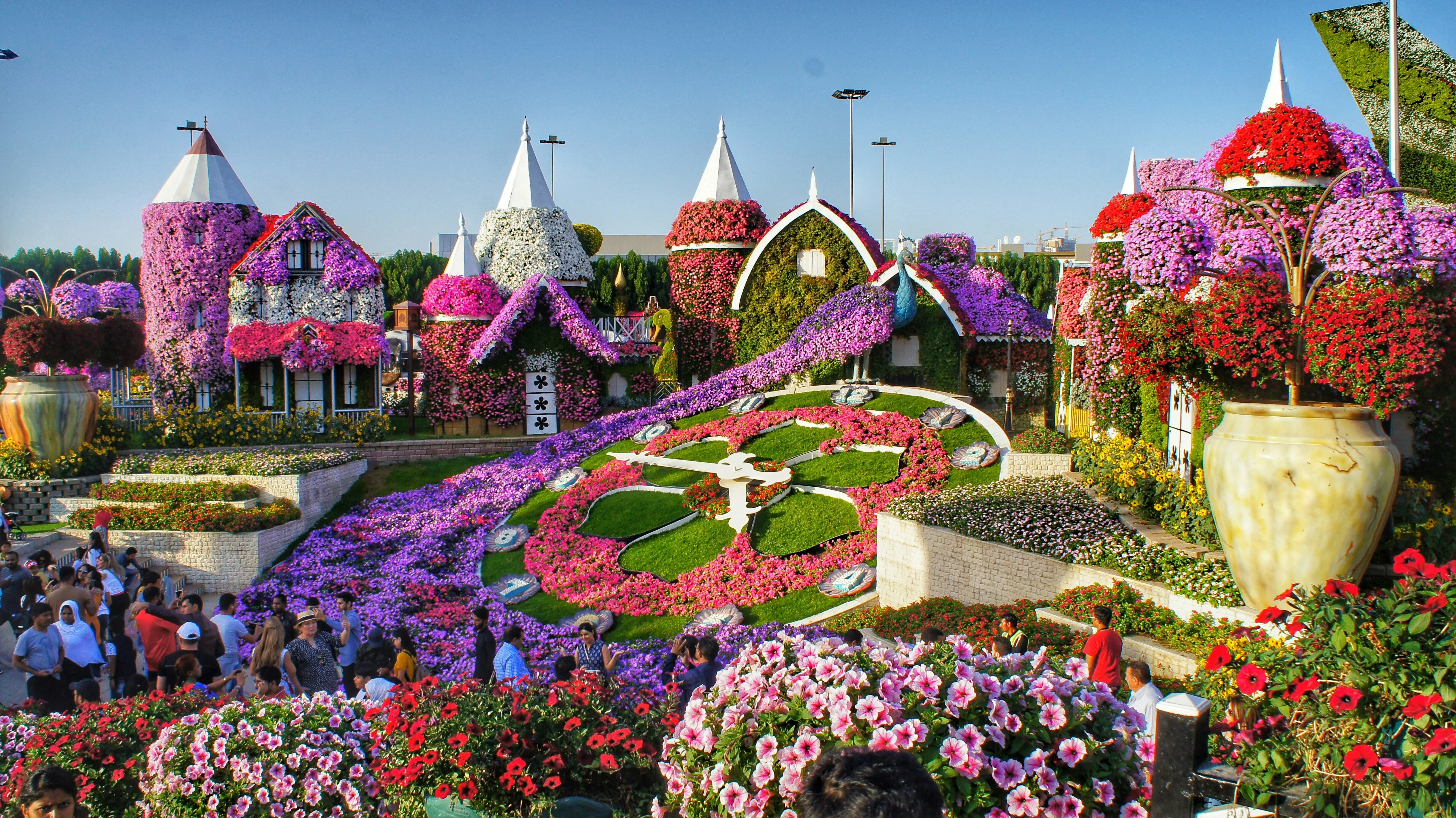 Combo: Dubai Miracle Garden   View At The Palm