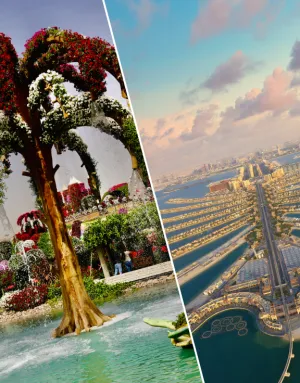 Combo: Dubai Miracle Garden   View At The Palm