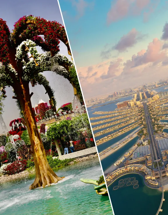 Combo: Dubai Miracle Garden   View At The Palm