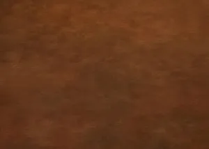County Stadium Floor-rf