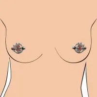 Crowned Magnetic Nipple Clamps by Master Series