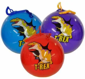 Dinosaur Playground Ball