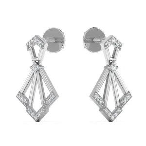 Exquisite Dangle Drops Silver Earrings