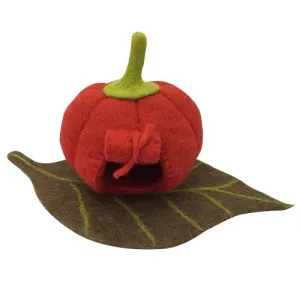 Fairy Pumpkin House