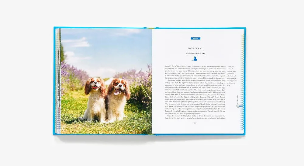 Fifty Places to Travel with Your Dog Before You Die