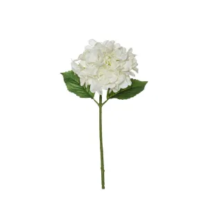 Garden Hydrangea Stem | White