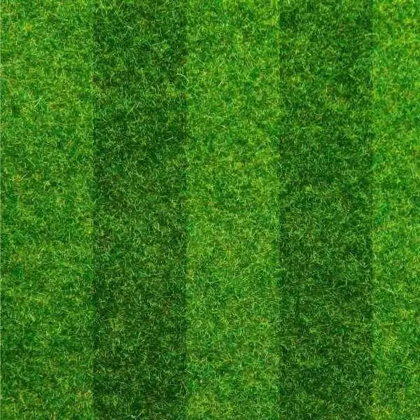 Garden Lawn Turf