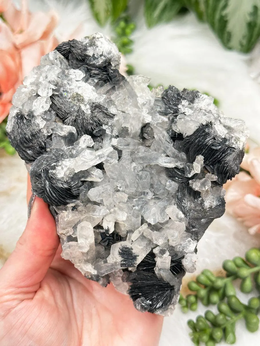 Hematite Rose & Quartz