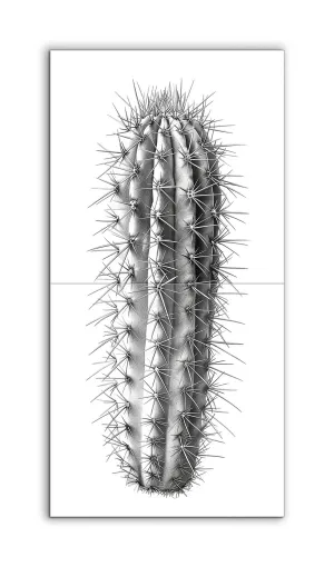 Hyper-Realistic Cactus Illustration in Monochrome