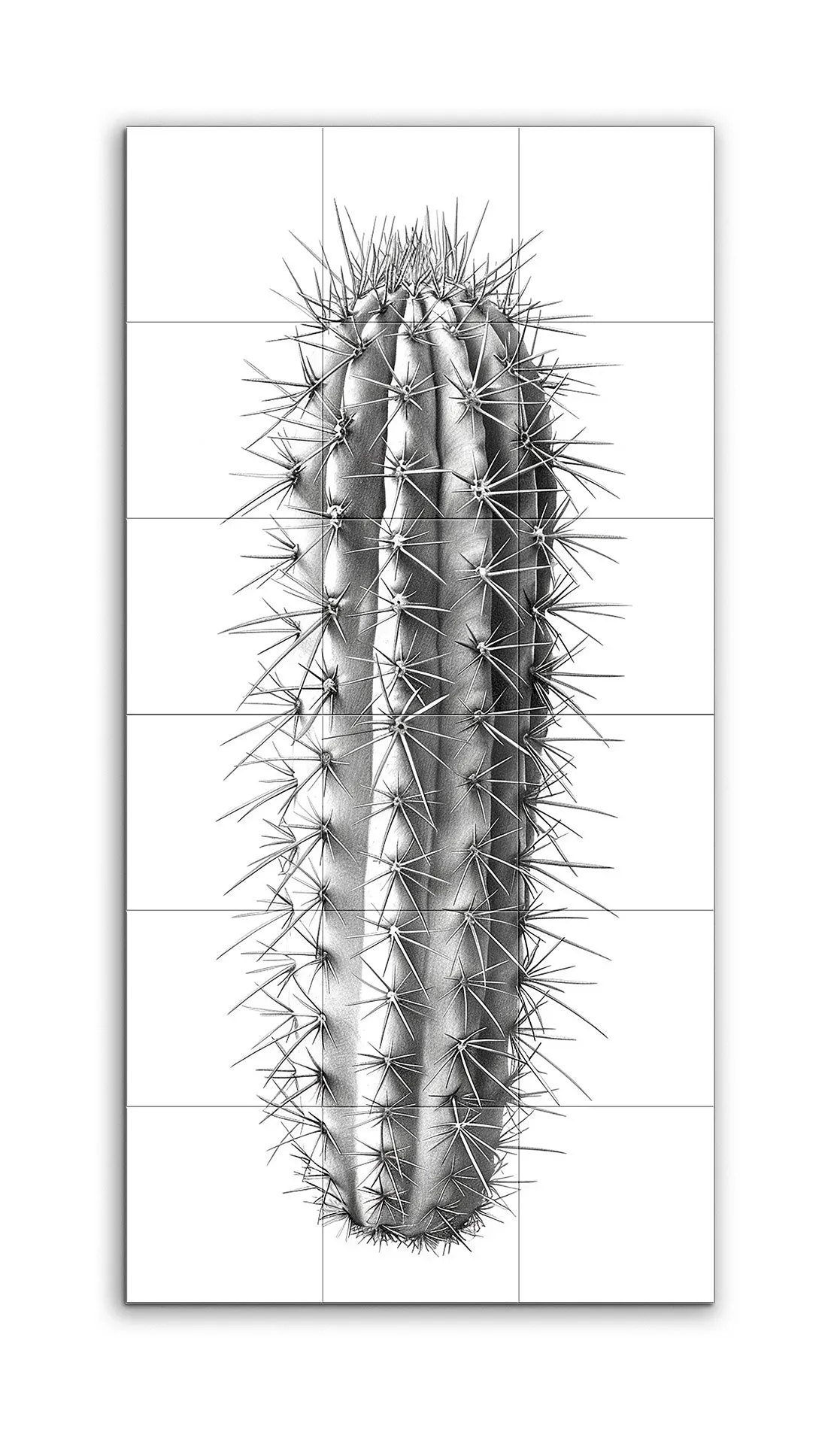 Hyper-Realistic Cactus Illustration in Monochrome