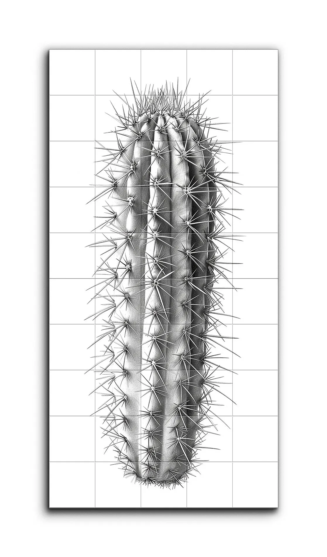 Hyper-Realistic Cactus Illustration in Monochrome