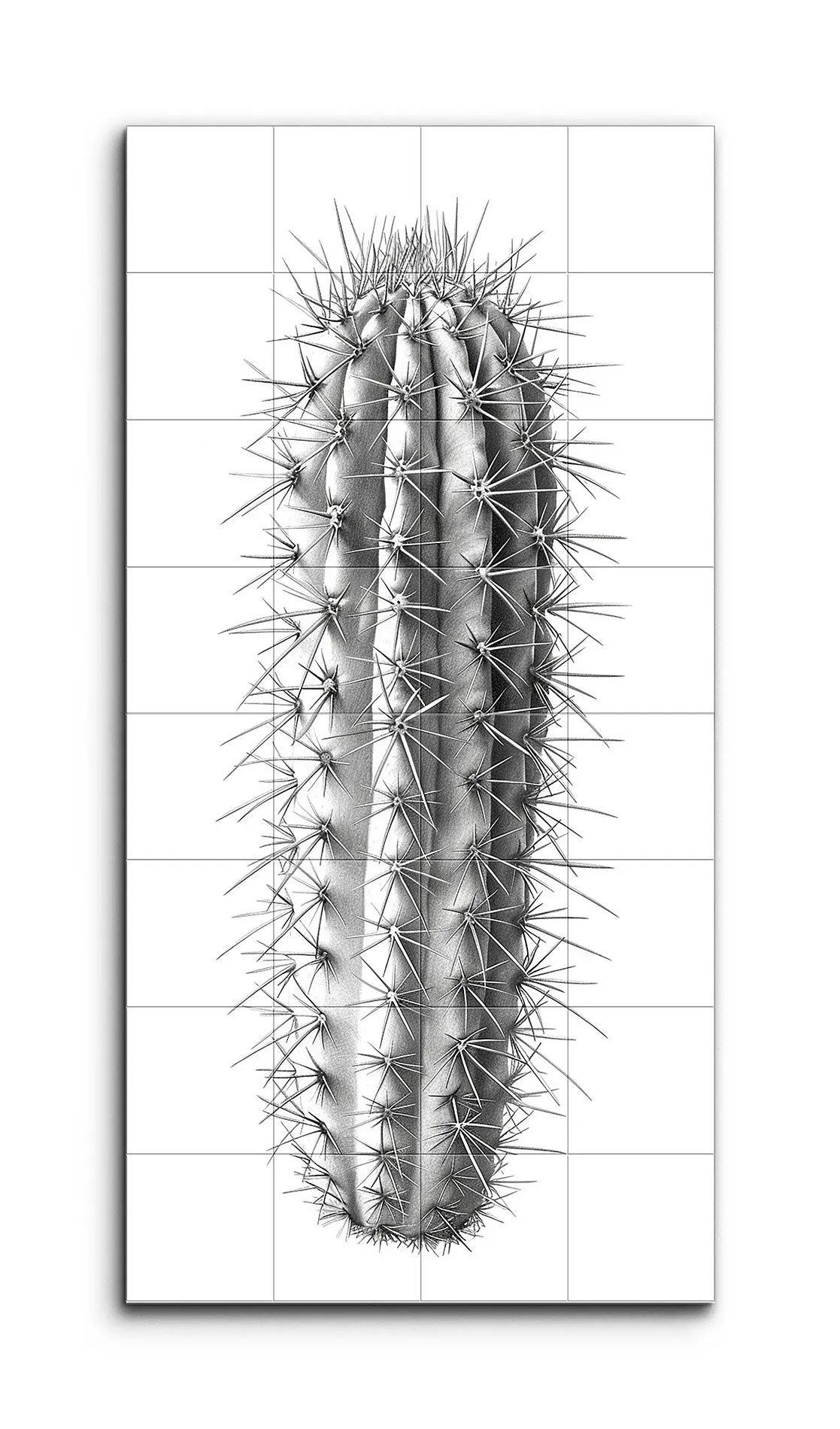 Hyper-Realistic Cactus Illustration in Monochrome