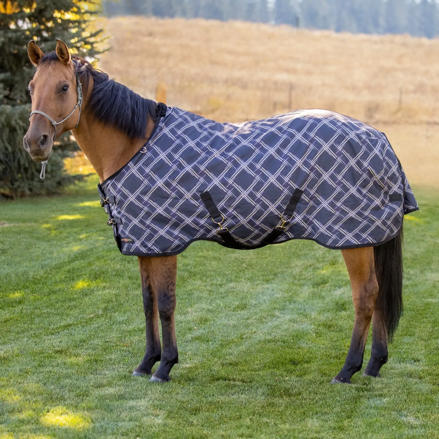 Kensington Bundle - 1200D Horse Heavy Weight Turnout & Blanket Bag
