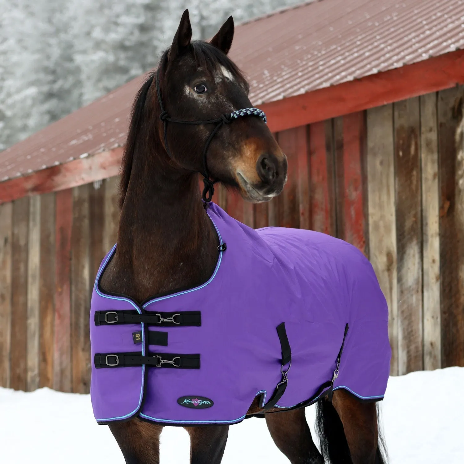 Kensington Bundle - 1200D Horse Heavy Weight Turnout & Blanket Bag