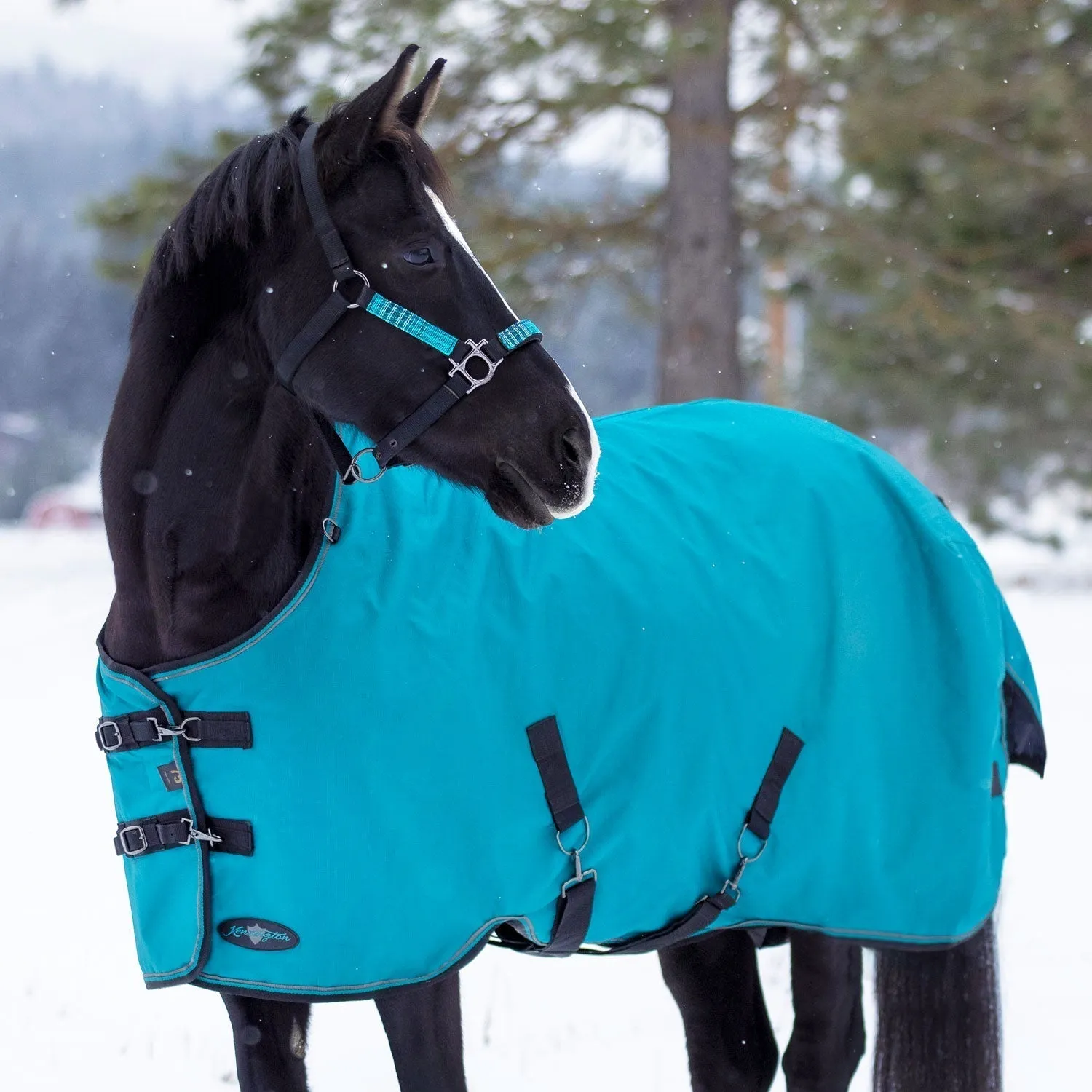 Kensington Bundle - 1200D Horse Heavy Weight Turnout & Blanket Bag
