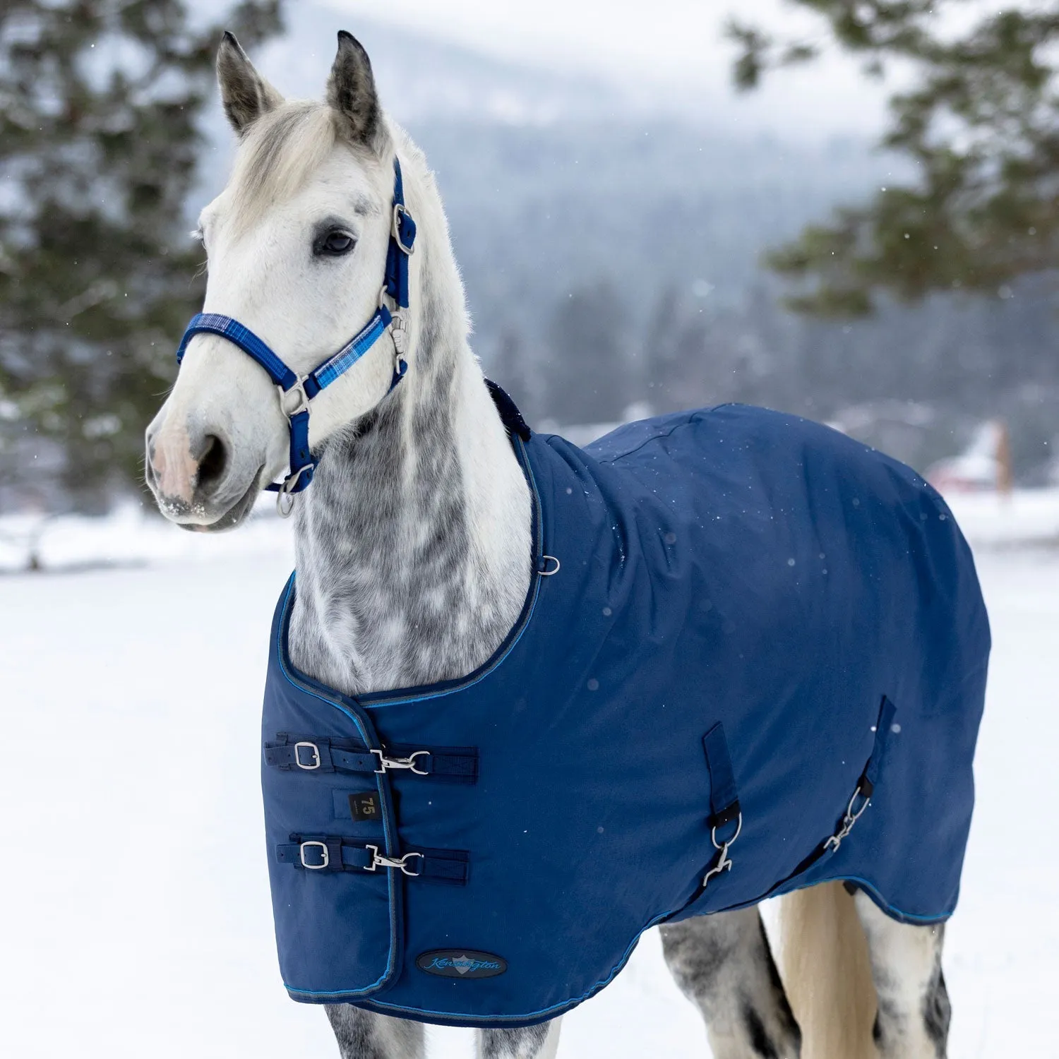 Kensington Bundle - 1200D Horse Heavy Weight Turnout & Blanket Bag