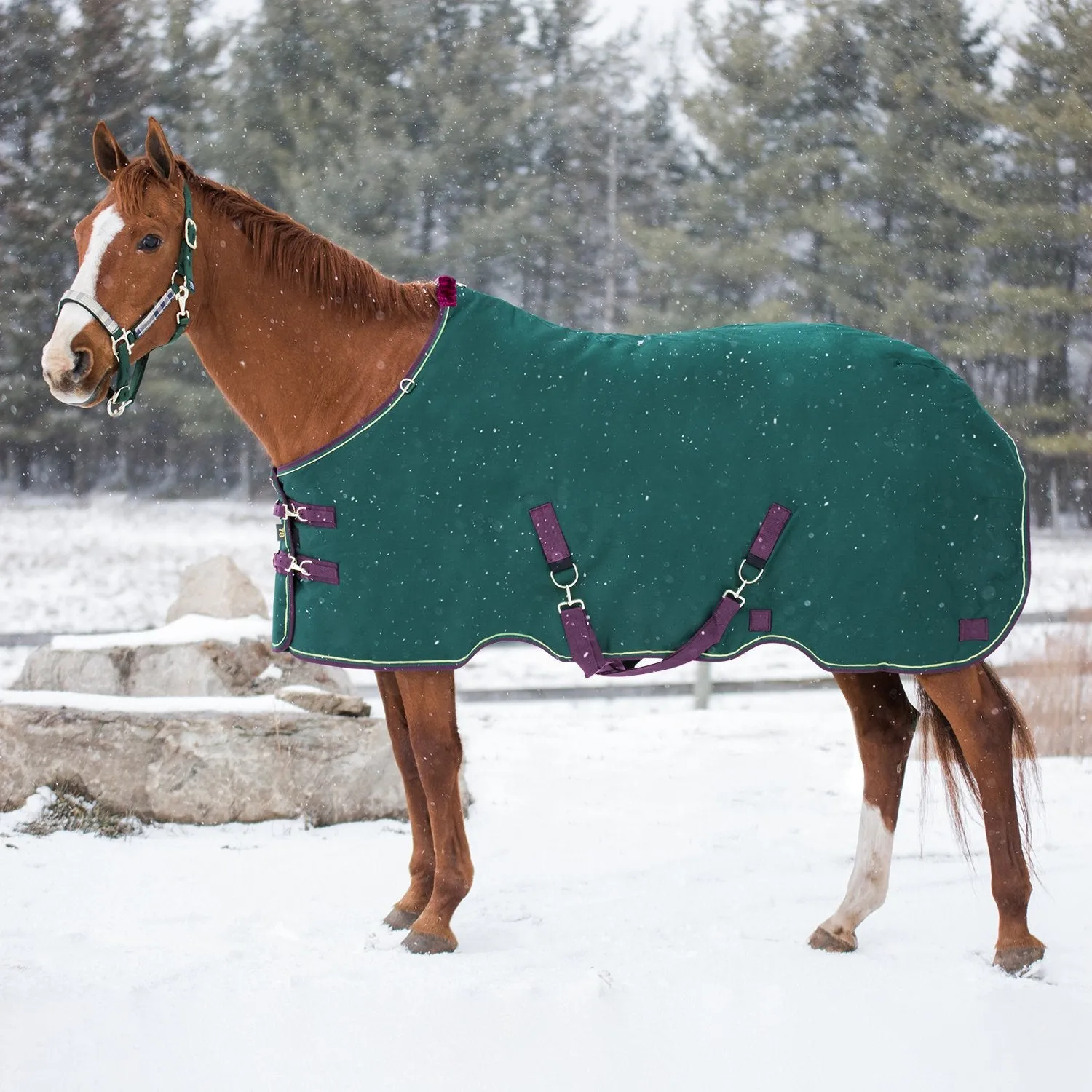 Kensington Bundle - 1200D Horse Heavy Weight Turnout & Blanket Bag