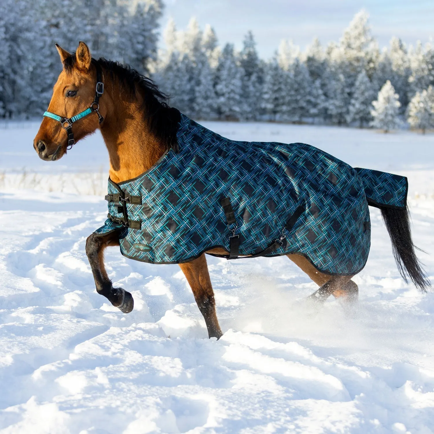 Kensington Bundle - 1200D Horse Heavy Weight Turnout & Blanket Bag