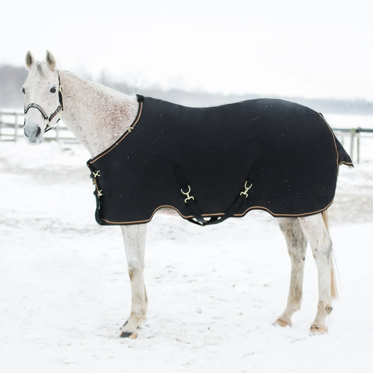 Kensington Bundle - 1200D Horse Heavy Weight Turnout & Blanket Bag