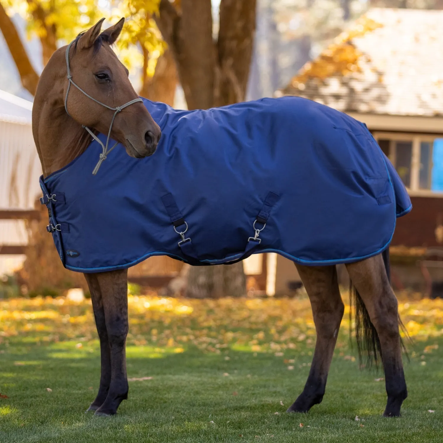 Kensington Bundle - 1200D Horse Heavy Weight Turnout & Blanket Bag