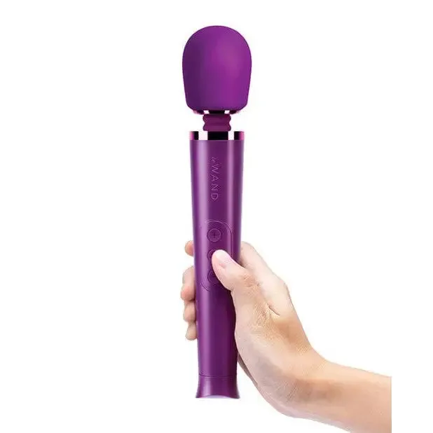 Le Wand Petite Rechargeable Massager