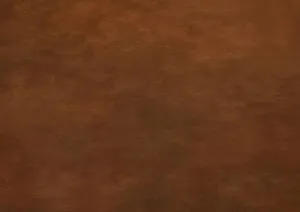 Little Dirt Floor-rf