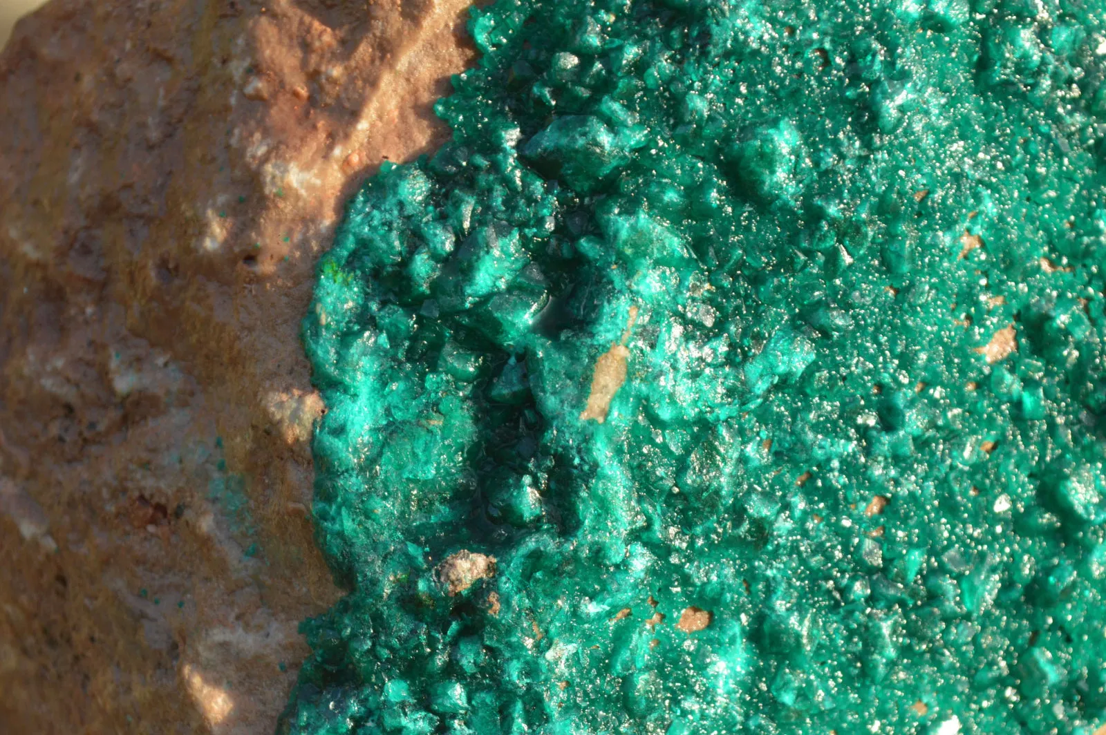 Natural Huge Exceptional Dioptase Specimen (Second Largest In The World!) x 1 From Tantara, Congo