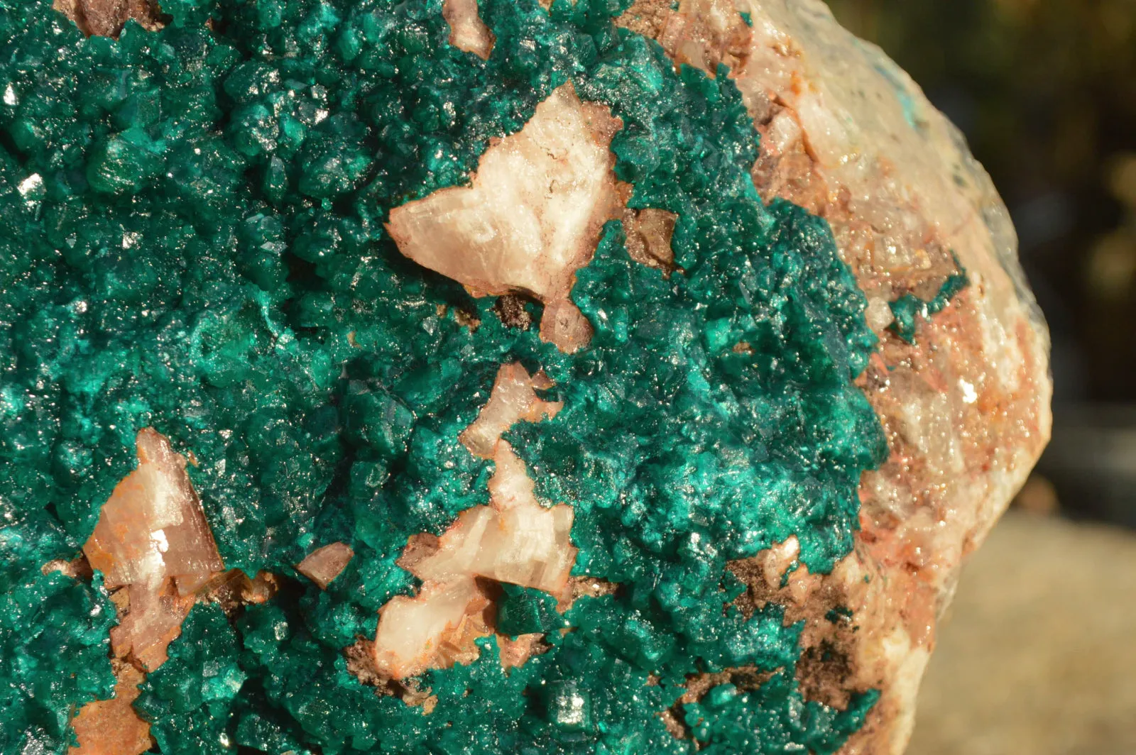Natural Huge Exceptional Dioptase Specimen (Second Largest In The World!) x 1 From Tantara, Congo