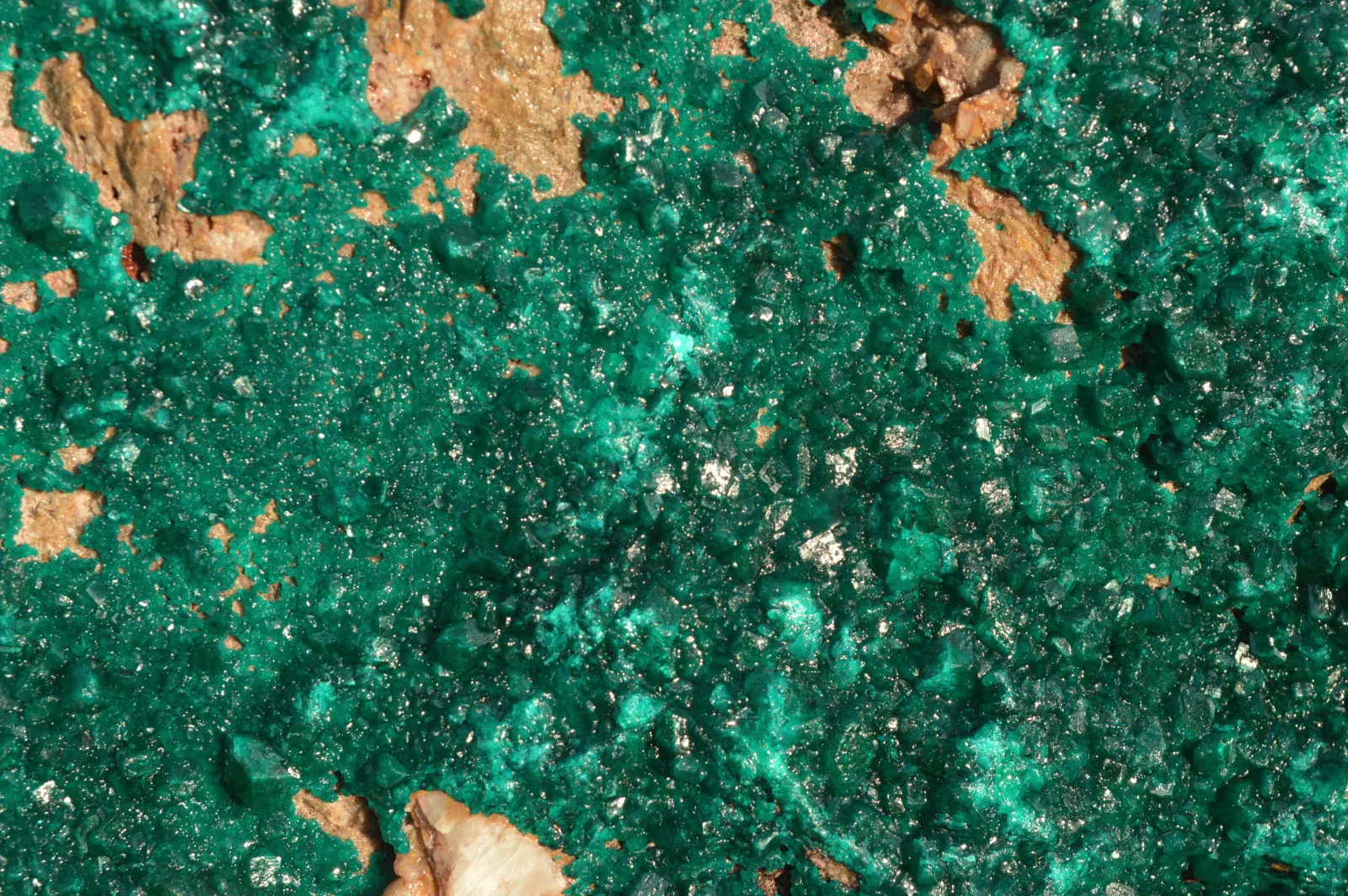 Natural Huge Exceptional Dioptase Specimen (Second Largest In The World!) x 1 From Tantara, Congo