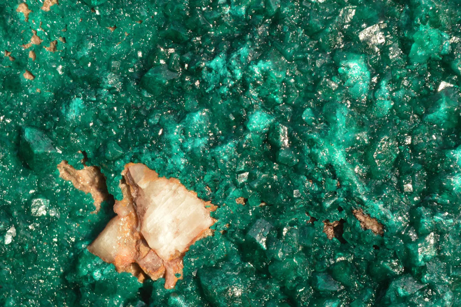 Natural Huge Exceptional Dioptase Specimen (Second Largest In The World!) x 1 From Tantara, Congo