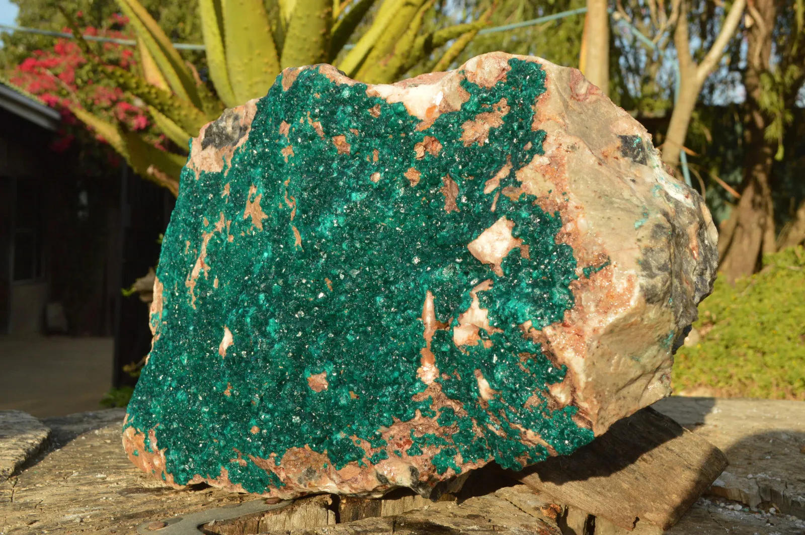 Natural Huge Exceptional Dioptase Specimen (Second Largest In The World!) x 1 From Tantara, Congo