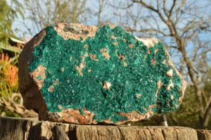 Natural Huge Exceptional Dioptase Specimen (Second Largest In The World!) x 1 From Tantara, Congo