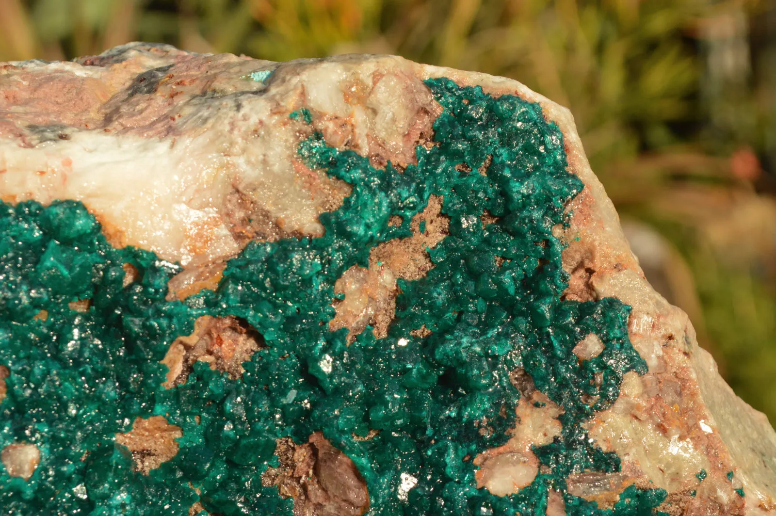 Natural Huge Exceptional Dioptase Specimen (Second Largest In The World!) x 1 From Tantara, Congo