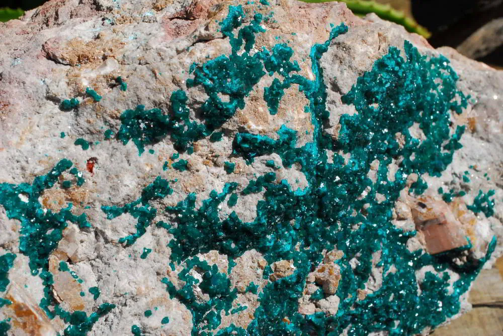 Natural Huge Giant Museum Quality Emerald Green Dioptase Specimen x 1 From Tantara, Congo