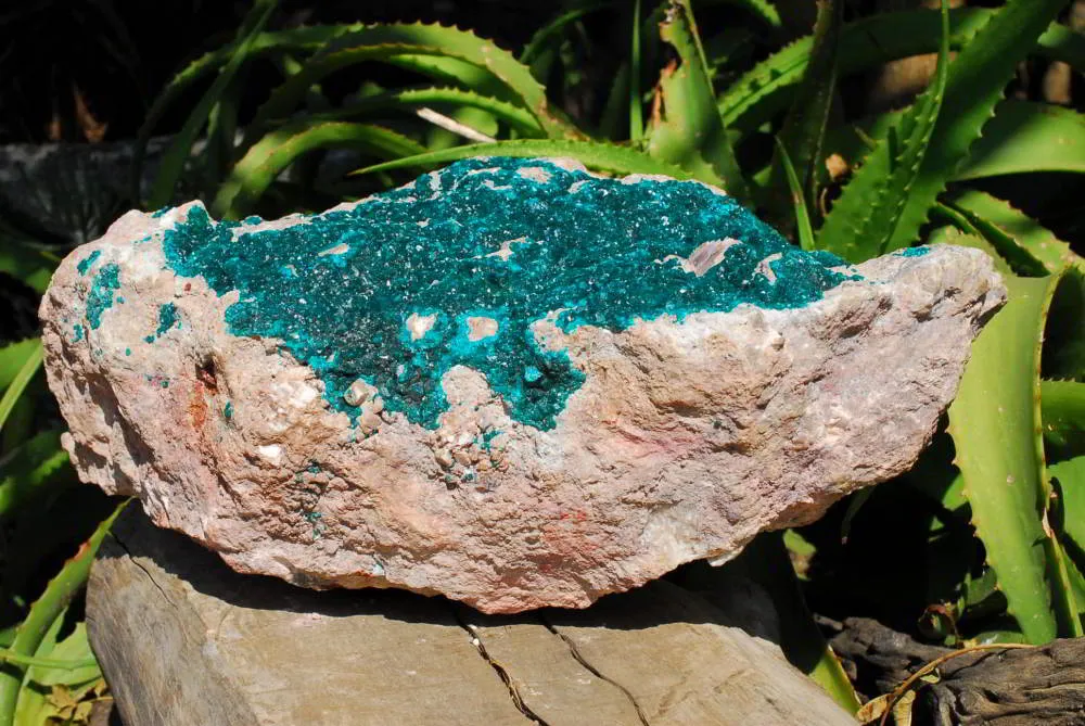 Natural Huge Giant Museum Quality Emerald Green Dioptase Specimen x 1 From Tantara, Congo