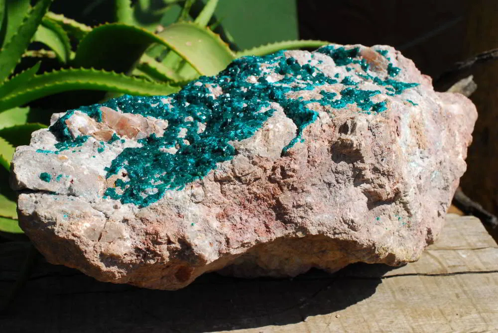 Natural Huge Giant Museum Quality Emerald Green Dioptase Specimen x 1 From Tantara, Congo