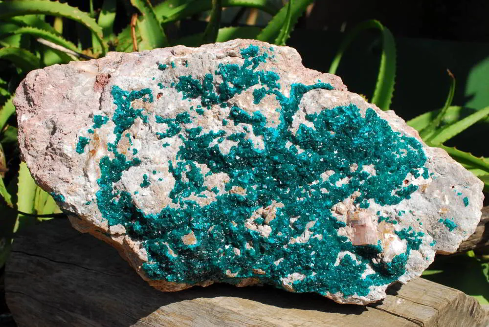 Natural Huge Giant Museum Quality Emerald Green Dioptase Specimen x 1 From Tantara, Congo