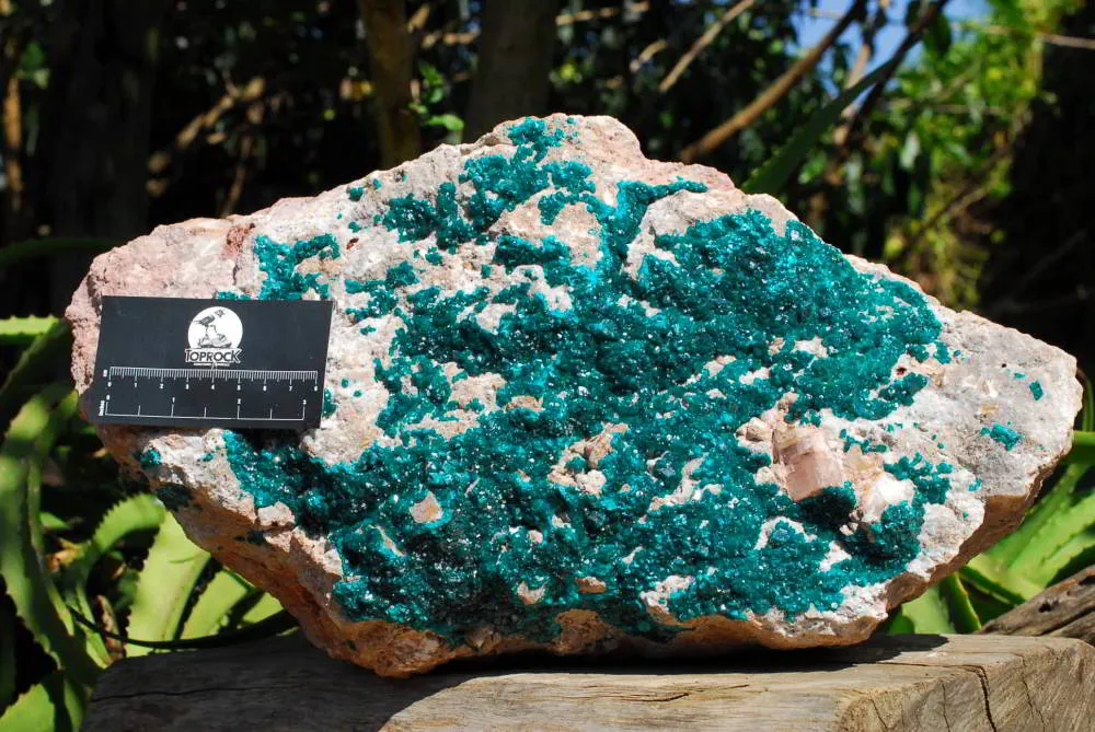 Natural Huge Giant Museum Quality Emerald Green Dioptase Specimen x 1 From Tantara, Congo