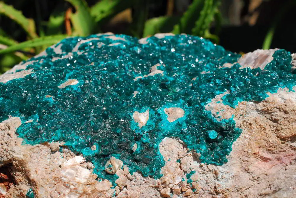 Natural Huge Giant Museum Quality Emerald Green Dioptase Specimen x 1 From Tantara, Congo