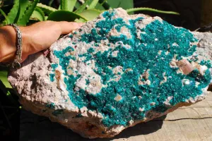 Natural Huge Giant Museum Quality Emerald Green Dioptase Specimen x 1 From Tantara, Congo