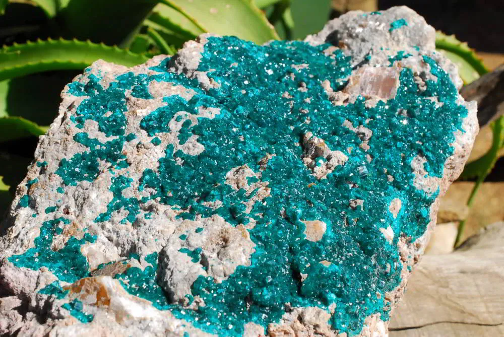 Natural Huge Giant Museum Quality Emerald Green Dioptase Specimen x 1 From Tantara, Congo