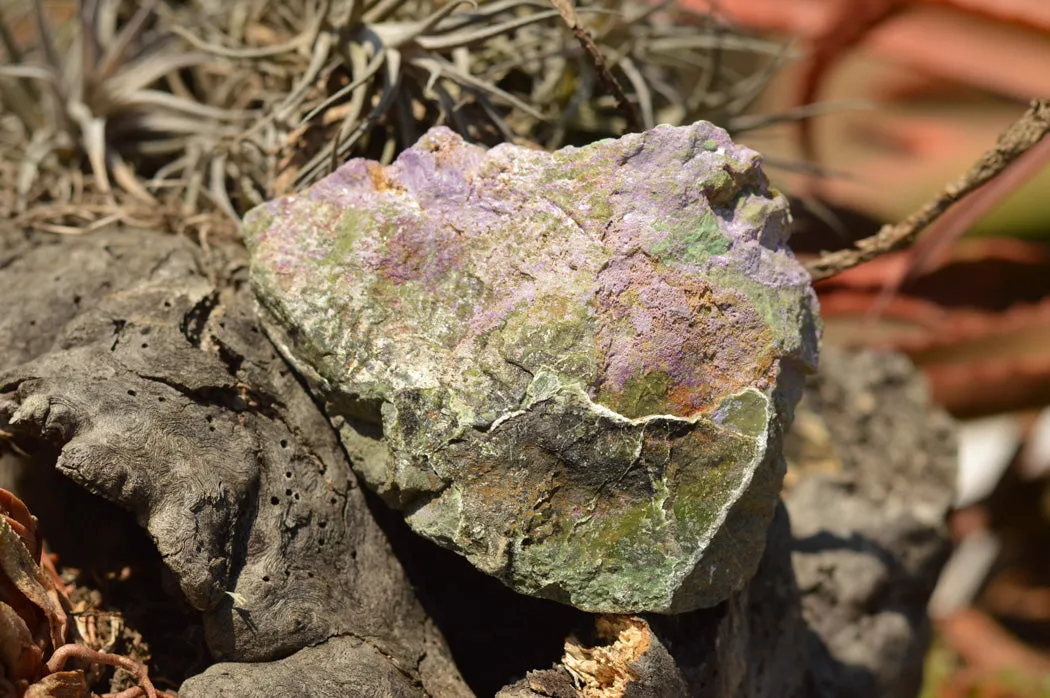 Natural Selected Stichtite & Green Serpentine Cobbed Specimens x 8 From Barberton, South Africa