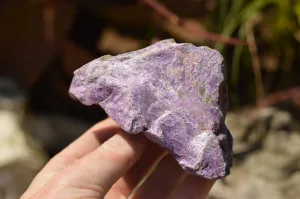 Natural Selected Stichtite & Green Serpentine Cobbed Specimens x 8 From Barberton, South Africa