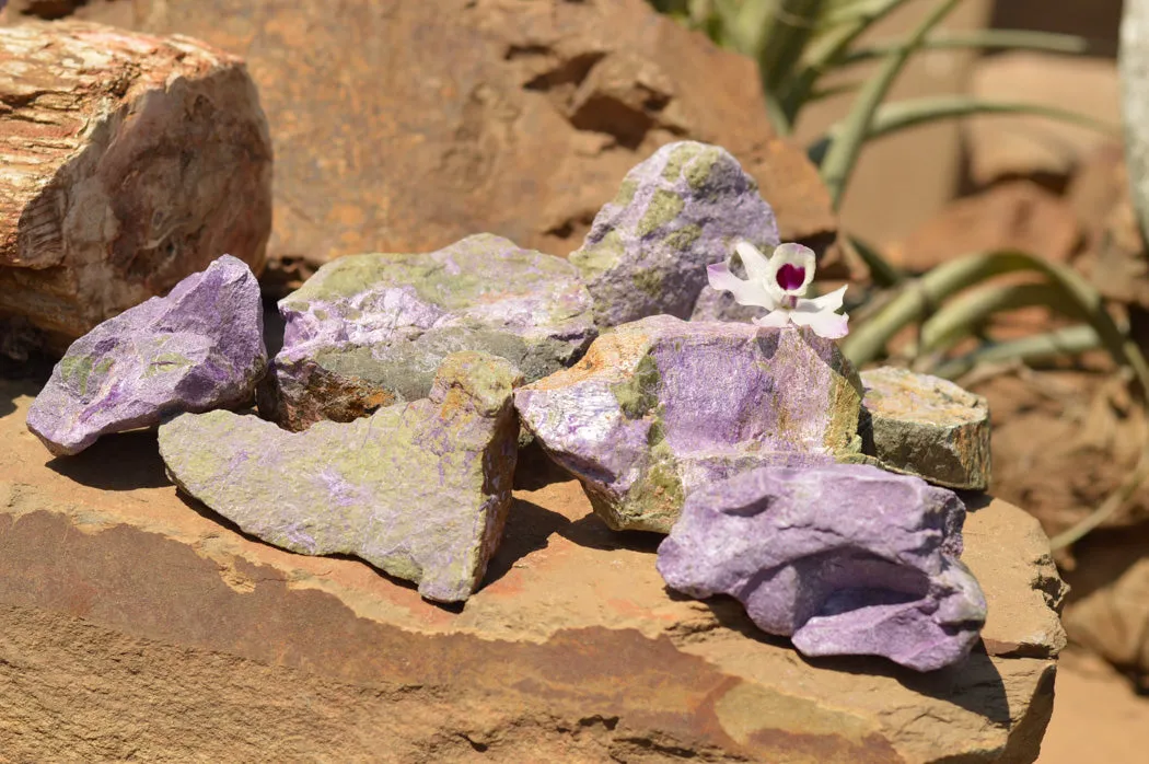 Natural Selected Stichtite & Green Serpentine Cobbed Specimens x 8 From Barberton, South Africa