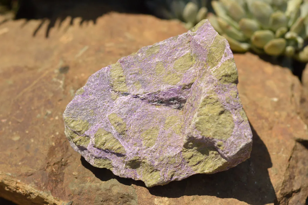 Natural Selected Stichtite & Green Serpentine Cobbed Specimens x 8 From Barberton, South Africa