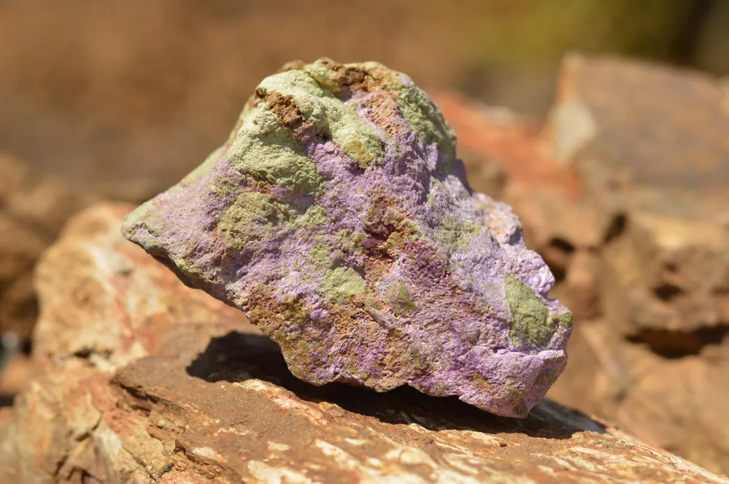 Natural Selected Stichtite & Green Serpentine Cobbed Specimens x 8 From Barberton, South Africa