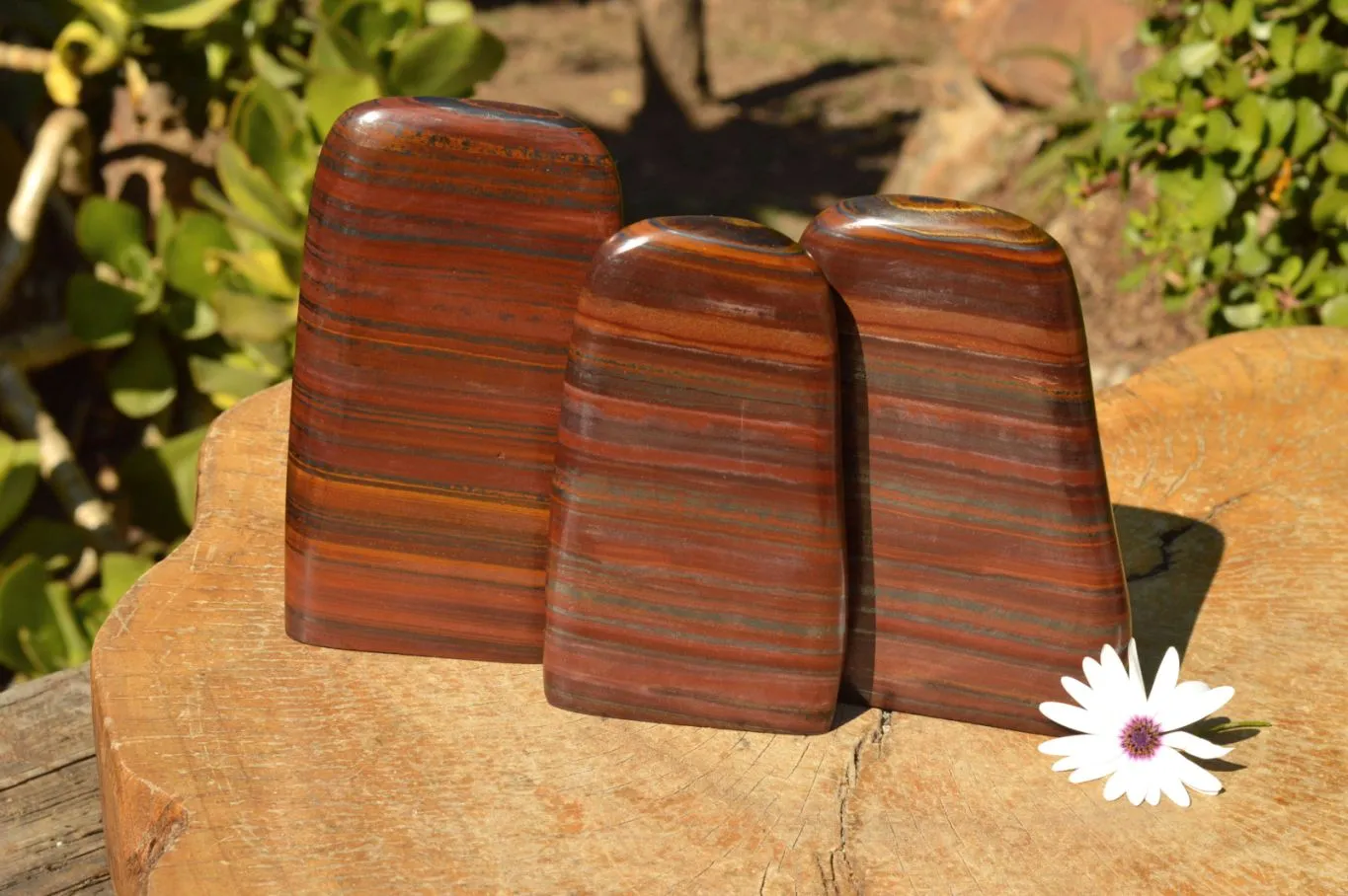 Polished Banded Tiger Iron / Muggle Stone Standing Free Forms  x 3 From Prieska, South Africa