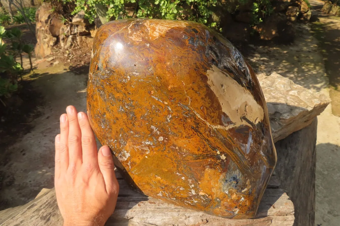 Polished Extra Rare Pietersite Display Piece x 1 From Outjo, Namibia